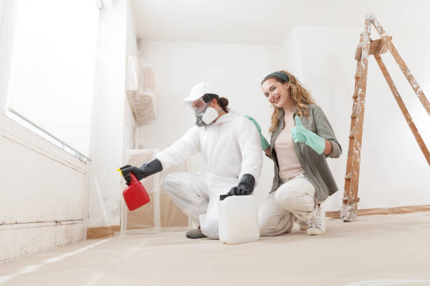 Best Crawl Space Mold Remediation  in Traverse City, MI